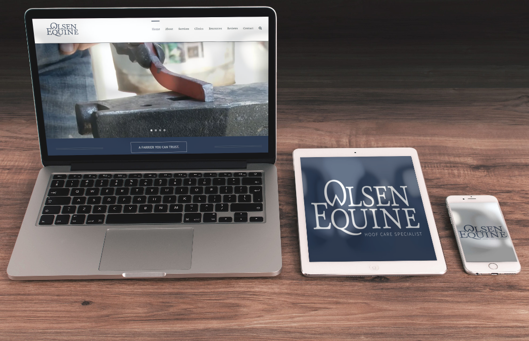 Olsen Equine